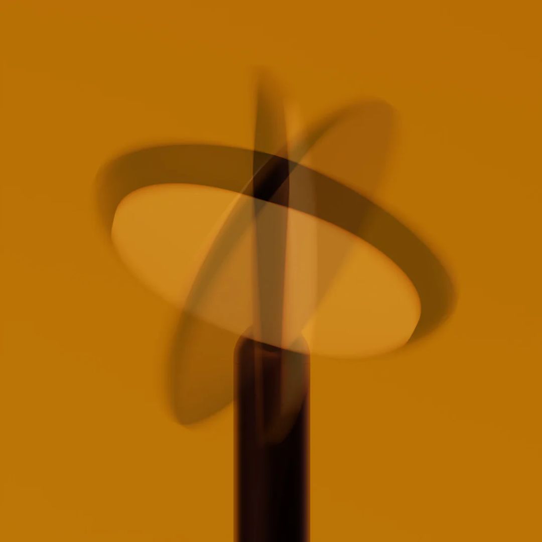 photo3.jpgParrot floor